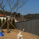 스테이 라라온 이미지