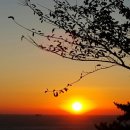 떠오르는 태양 이미지