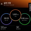 GOGO SWIMMING 이미지