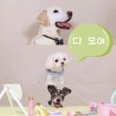 뷰팁