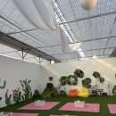 드림팜 | 고양 아기랑 가볼만한곳 파주딸기드림팜 내돈내산 후기