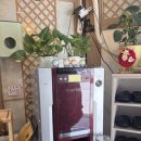 상무마늘보쌈 이미지