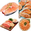 (주)연어 이미지