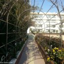 안락초등학교 이미지