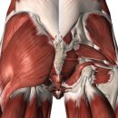 짐포레스트 방배점 이미지