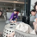 비고리조트 19 이미지