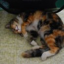 계산농장 이미지