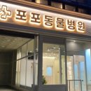 포포동물병원 이미지