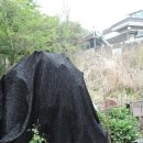 신촌동-4 이미지