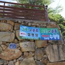그린앤블루 이미지