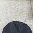 백하