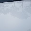 쿠스팀
