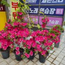 연예인노래연습장 이미지