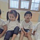 천전동8 Daum카페