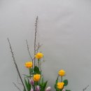 꽃꽂이 초급 이미지