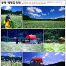 봉평메밀 - 청주시 흥덕구 경산로 58-12 | 봉평메밀