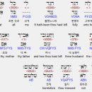 야보아스 이미지