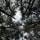 포토 덤프 | 스페셜 - 홍천 여행 힐리언스 선마을 숲캉스, 숲속동 디럭스 숙박 후기