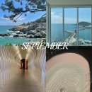 신녕족발 | 23.09 Daily Life part 1