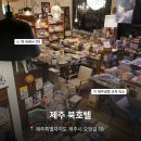 풍경게스트호텔 | [제주] 제주도 조용한 게스트하우스 '제주 북호텔' 1인실 내돈내산 후기