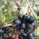 산골나들이 이미지