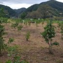 주밤농장 이미지