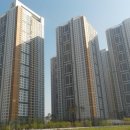 열혈 행정사 사무소 이미지