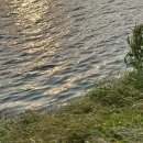 세븐일레븐 강동천호점 | [서울 강동] 천호 한강 데이트 코스 추천