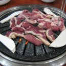 낙동강오리알 이미지