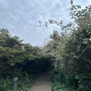 상효동-4 | 제주 서귀포 가볼만한곳 | 남원큰엉해안경승지, 선덕사, 윈드1947 카트 후기