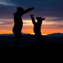 송파원동물병원 이미지