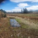 알밤오름하우스 이미지