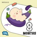 디자인일상 이미지