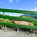 풀내음목장 이미지