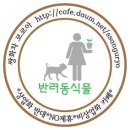 심장사상충약 종류별 구충범위 정보. 이미지