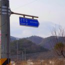 구난이약나무마을 이미지