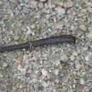 뽑기쉼터 이미지