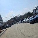 복어세상 이미지