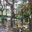 아름드리펜션 이미지