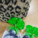 GS25포항삼구 이미지