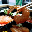 참치라이더 이미지