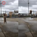 공중제비 이미지