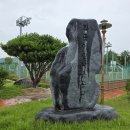 화풍이월체육공원 이미지