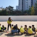 양구초등학교 이미지