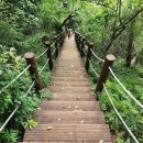 📍여권에 도장 찍으며 전국 여행! &#39;한국관광 100선 스탬프 투어&#39; 완벽 가이드