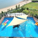 서포비치 이미지