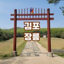 장릉 | [김포 가볼만한곳]장릉 후기!!