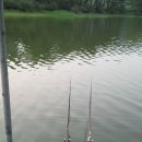 대동 낚시터 이미지