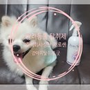 성안주식회사 네이버블로그