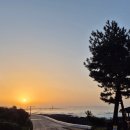 자파리203 이미지